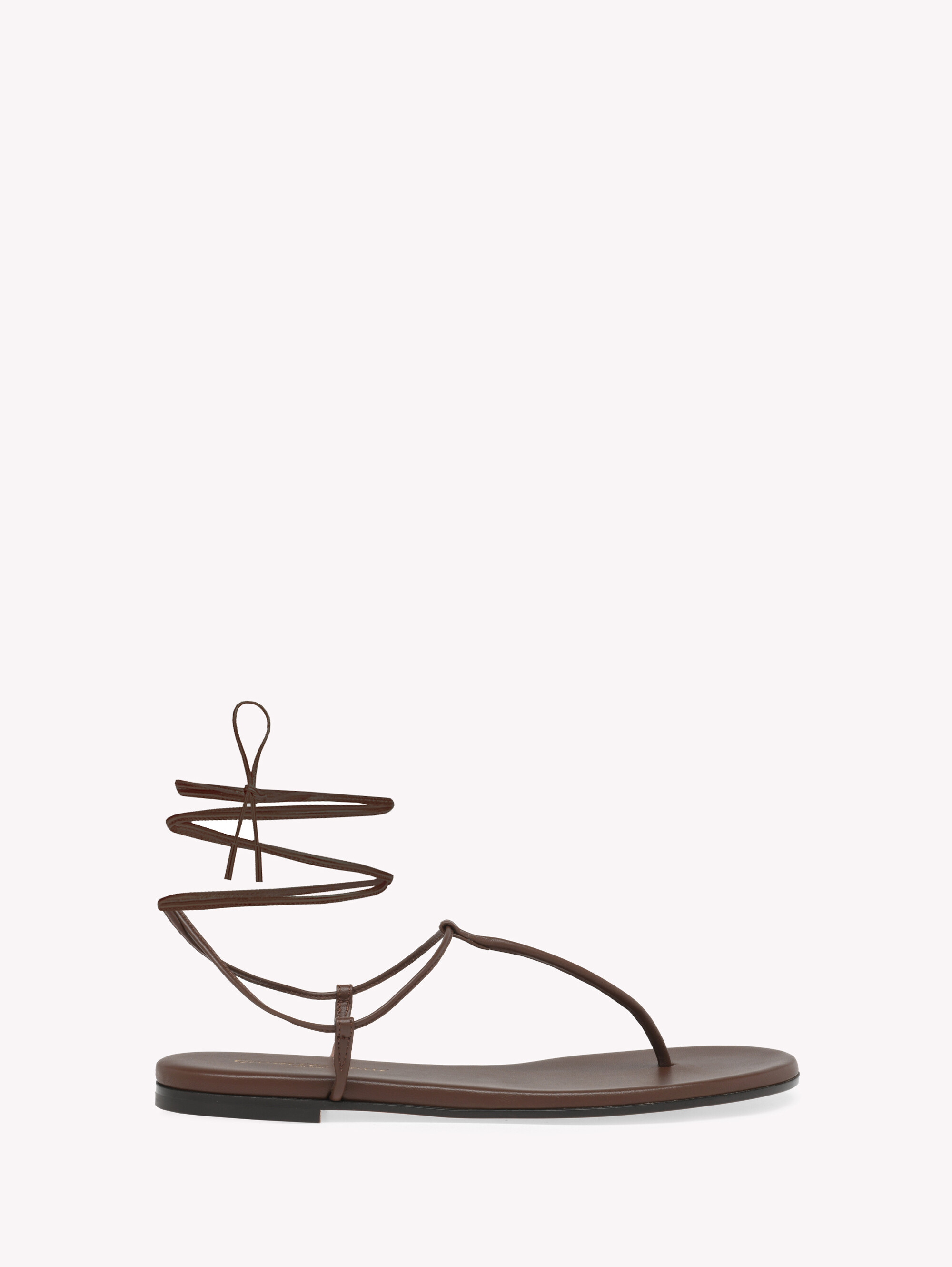Flats GWYNETH FLAT BROWN | Gianvito Rossi