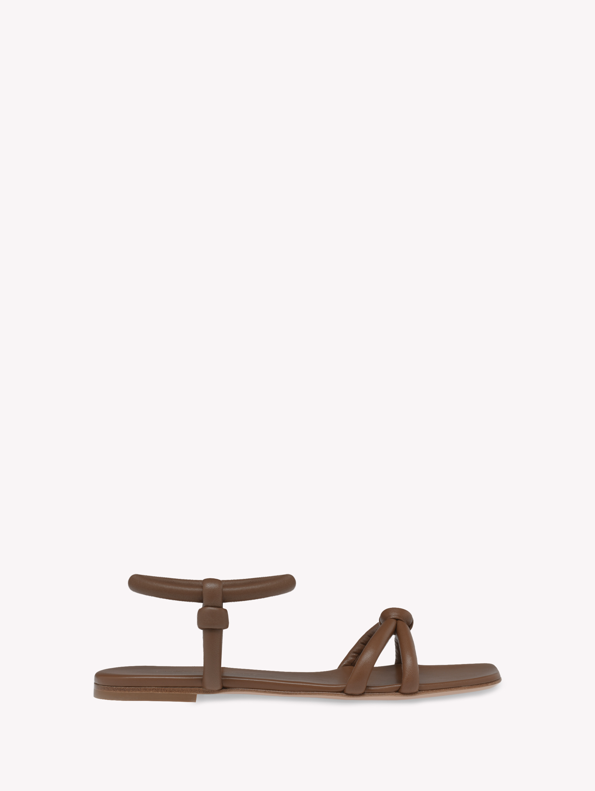 Shop Gianvito Rossi Juno 05 In Brown