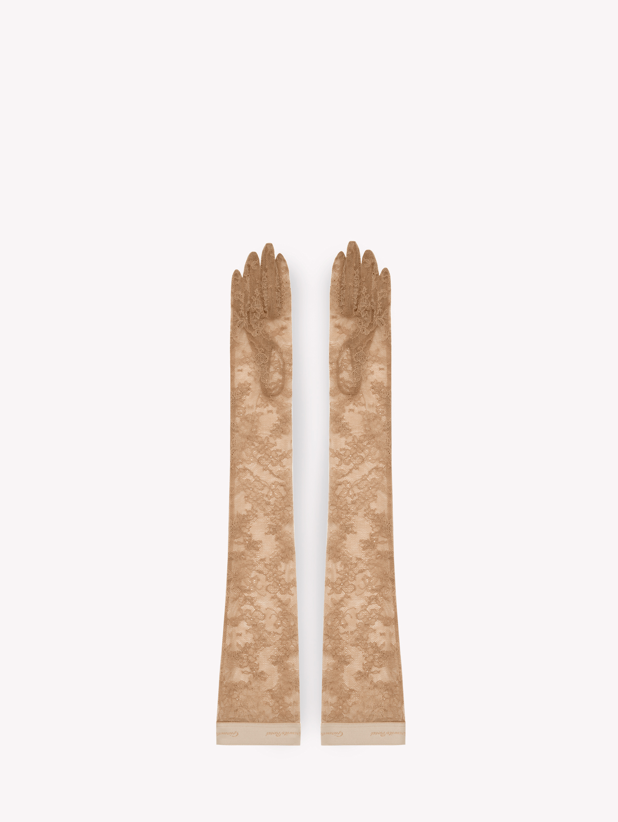 Shop Gianvito Rossi Lace Gloves In Pink