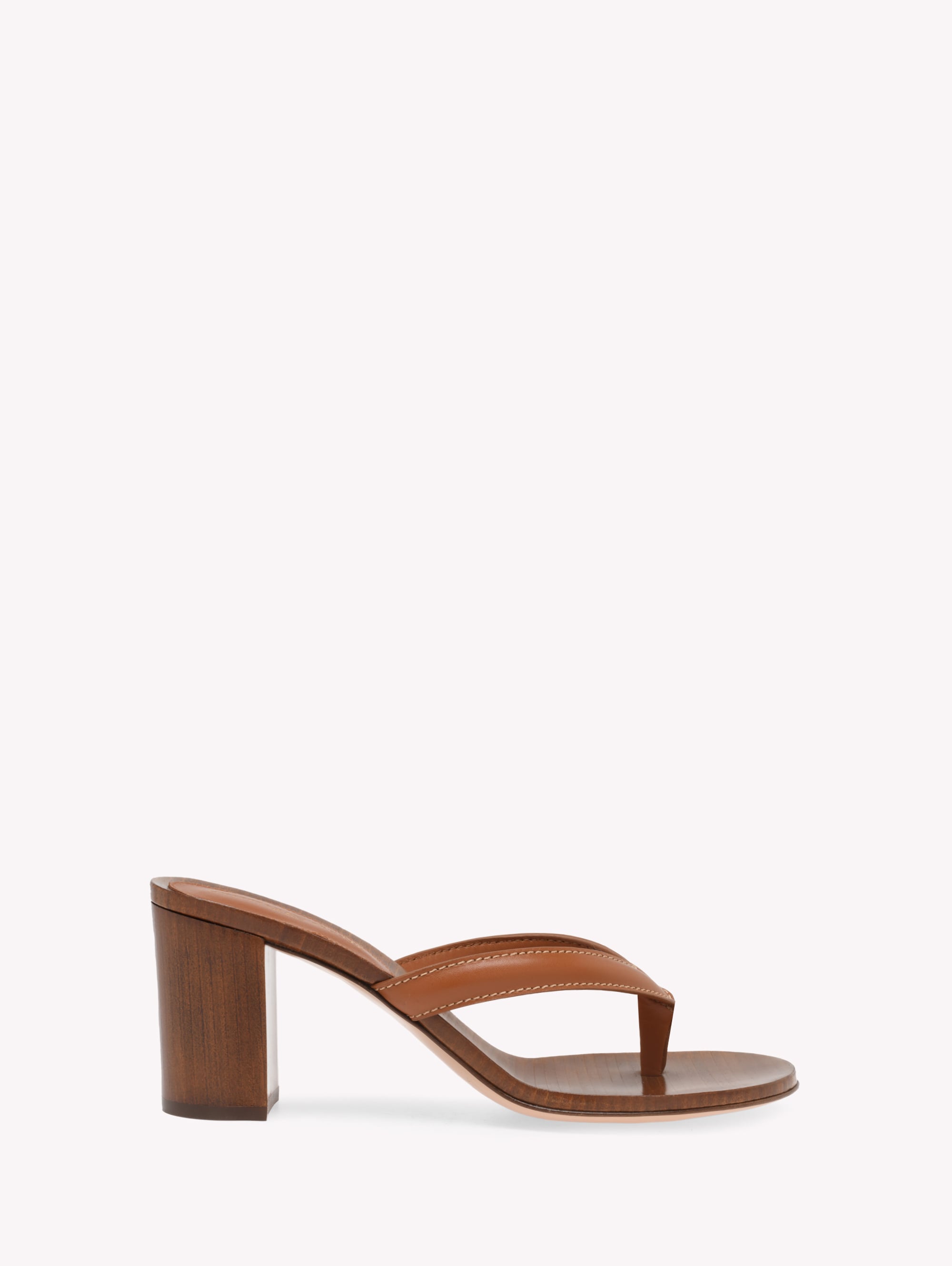Sandals and Mules NEWPORT BROWN | Gianvito Rossi