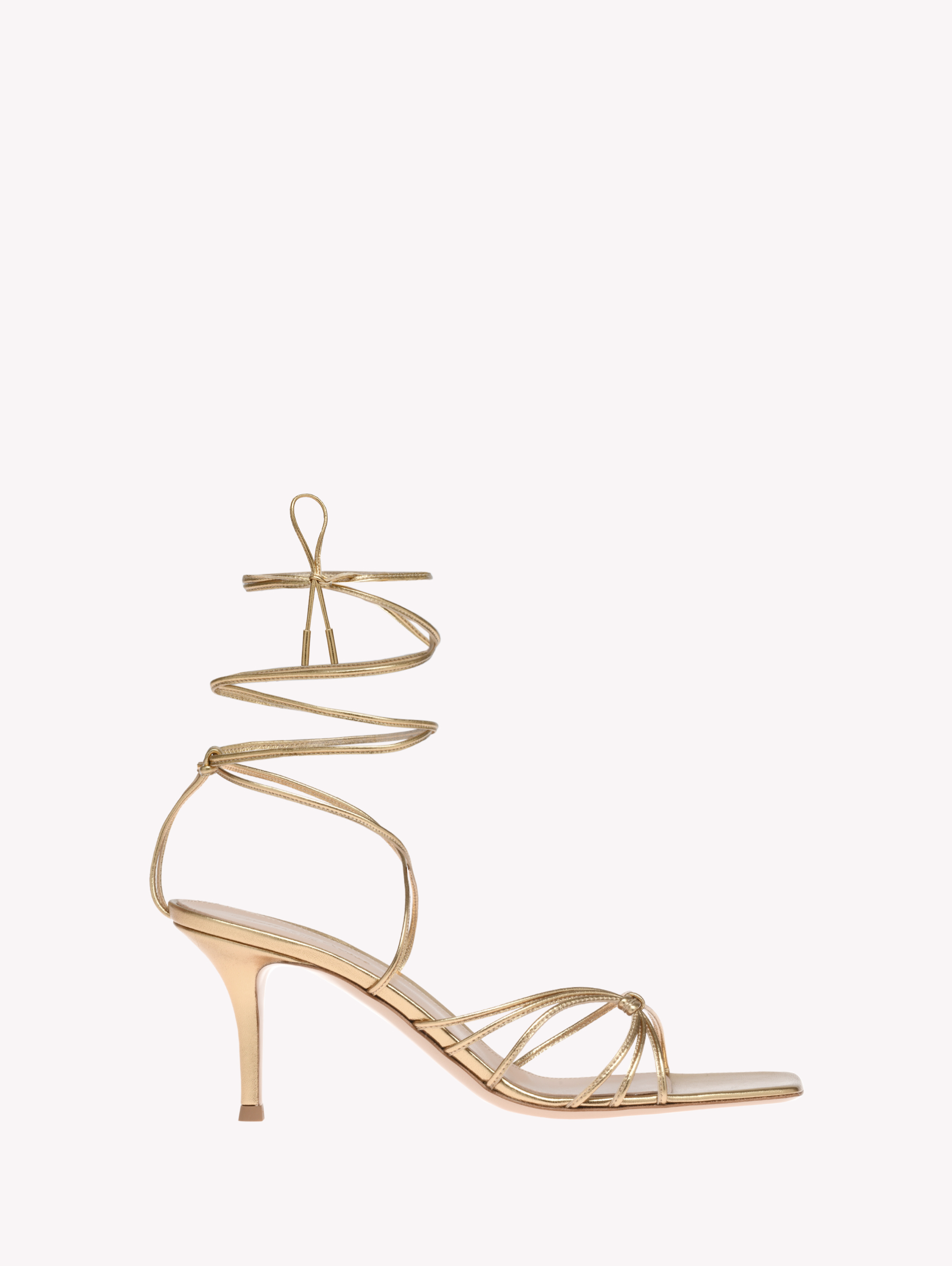 Buy SYLVIE 70 for EUR 566.00 | Gianvito Rossi Global Buy SYLVIE 70 for EUR 566.00 | Gianvito Rossi Global