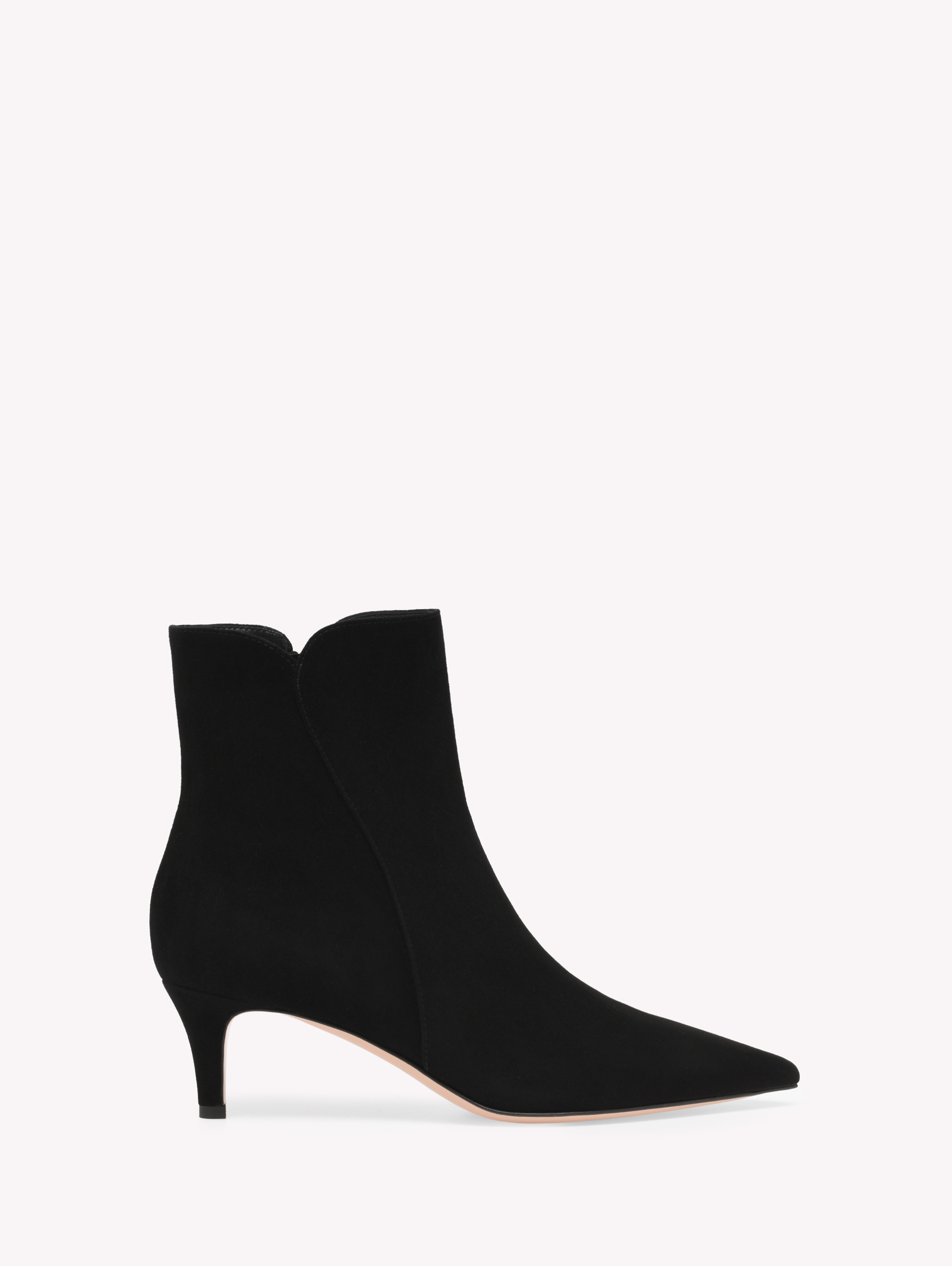 Booties LEVY 55 BLACK | Gianvito Rossi