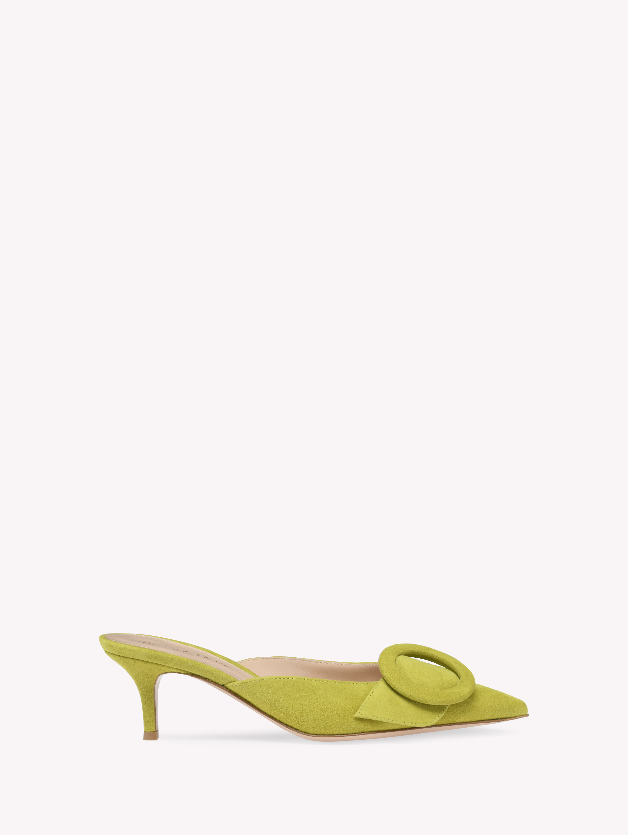 Shop Gianvito Rossi Portofino Mule 55 In Green